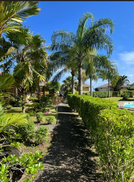Bungalow Tipanier - Vue Parfaite Tevaitoa Luaran gambar